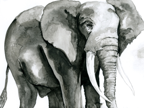 Custom Inkwash Illustations for Fundraiser Event